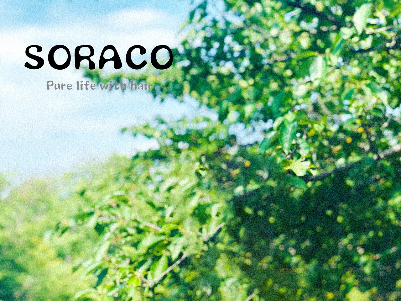 大倉山にある人気の美容室「ソラコ(SORACO)大倉山店」の店舗画像